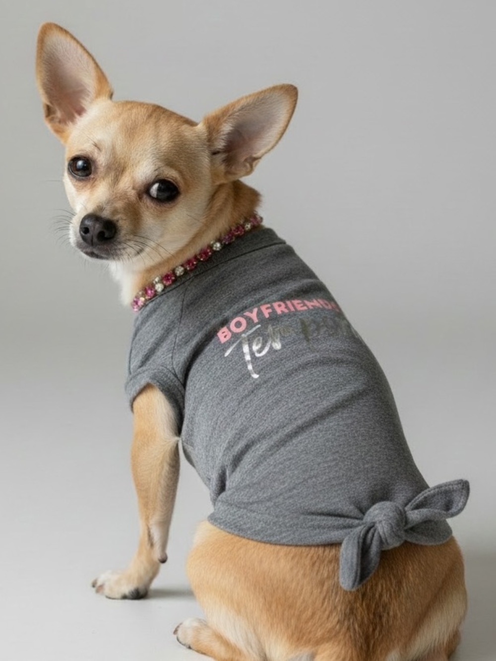 Lightweight Dog Statement T Shirt